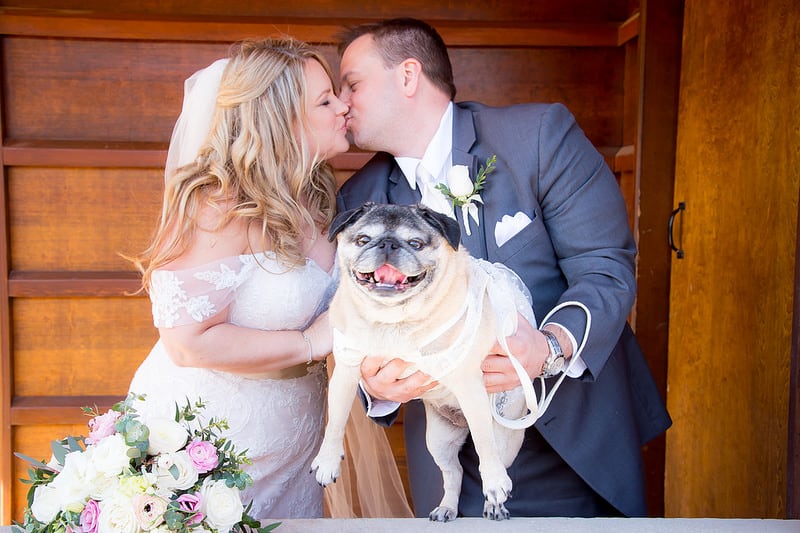 Wedding day includes a dog!